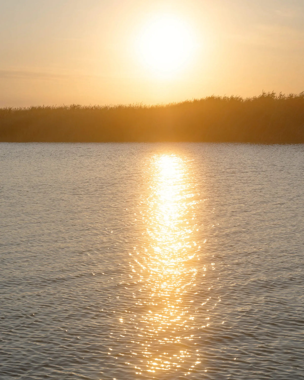 Sonnenuntergang über dem Neusiedler See