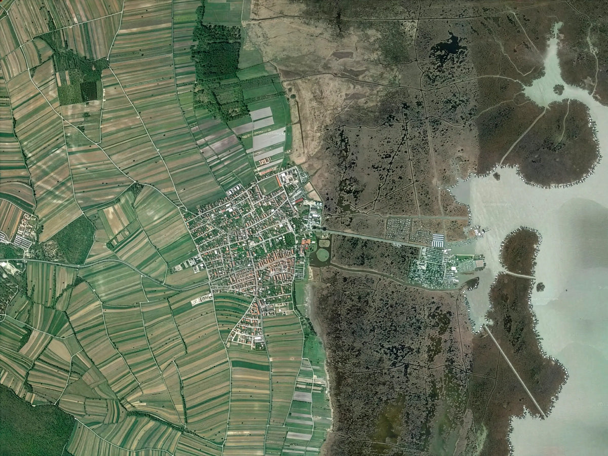 Luftbild von Rust mit Weingärten, Schilfgürtel und Neusiedler See