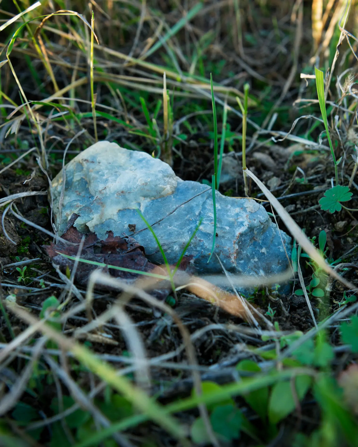 Blauer Quarz zwischen Gräsern im Weingarten