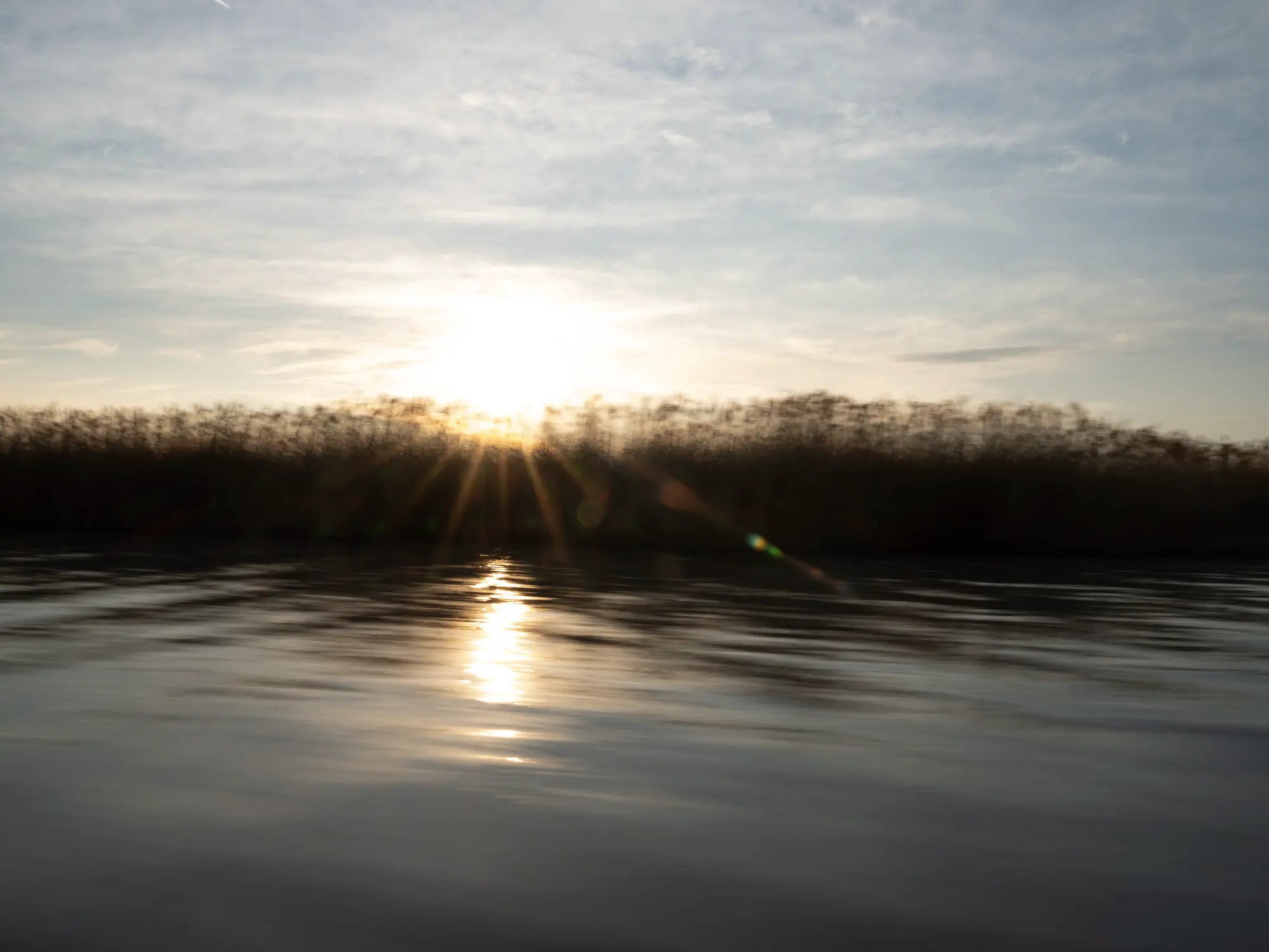 Sonnenaufgang über dem Neusiedler See mit Schilf am Horizont