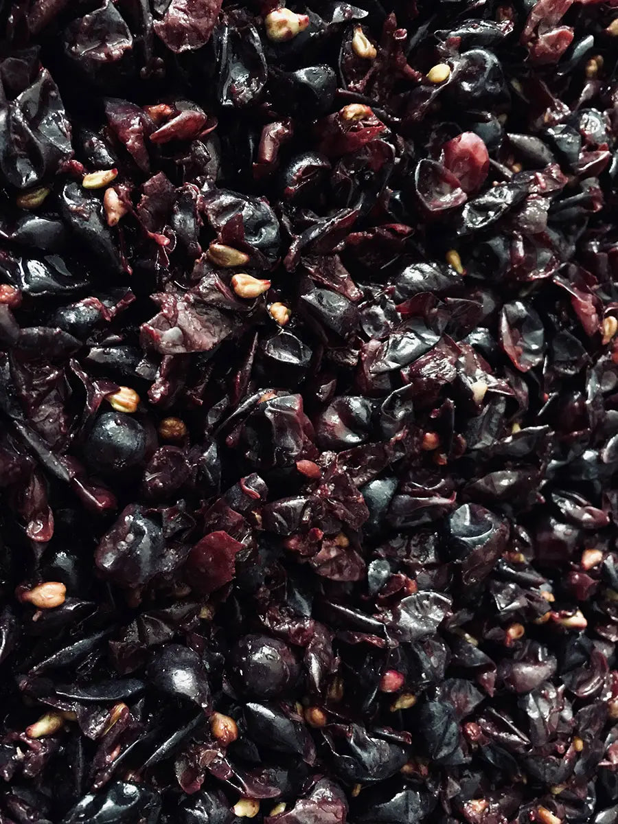 Beeren von roten Trauben bei der Maischegärung