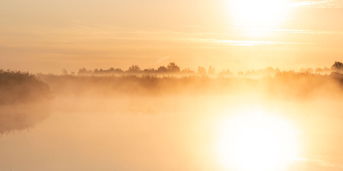 Nebel über dem Neusiedler See bei Sonnenaufgang